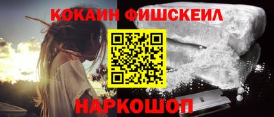 МДПВ Бердск