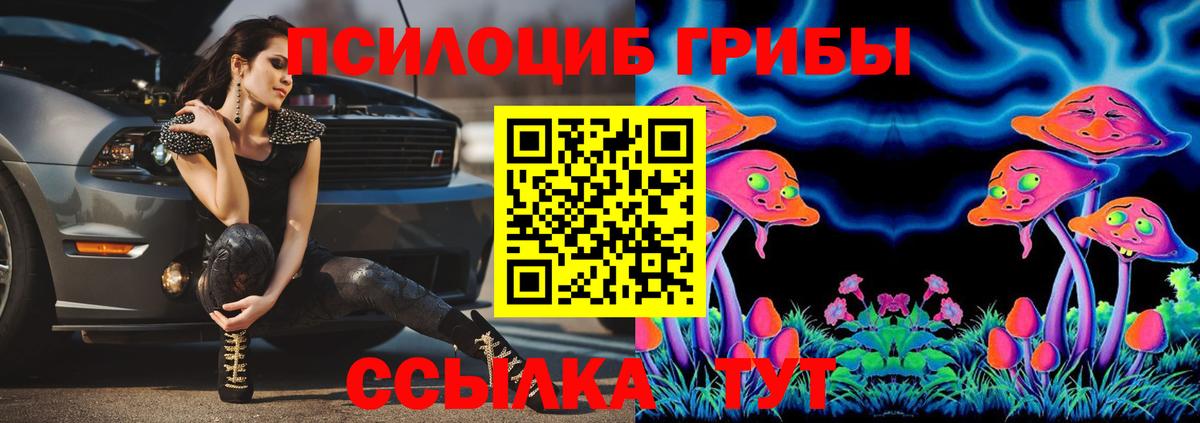 Галлюциногенные грибы GOLDEN TEACHER  Вход с VPN  Дмитров  Псилоцибиновые грибы Psilocybe 