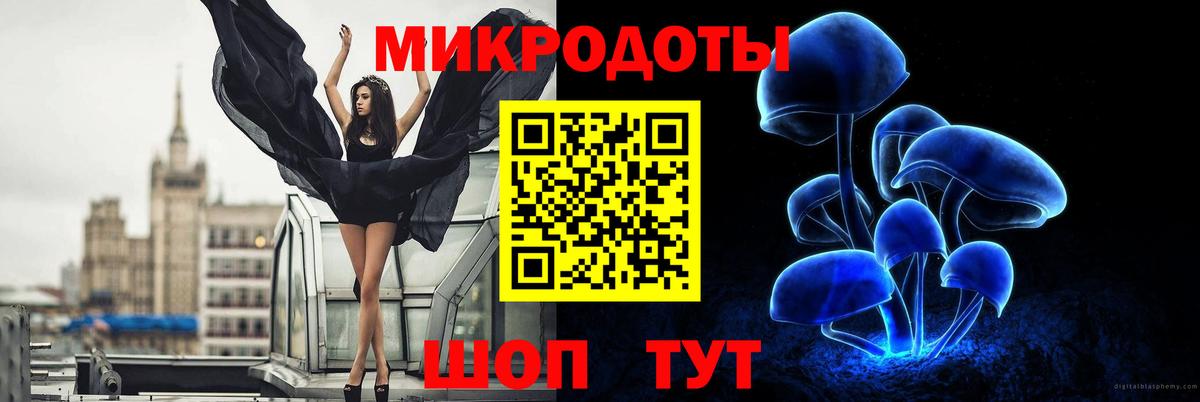 Псилоцибиновые грибы мухоморы Дмитров
