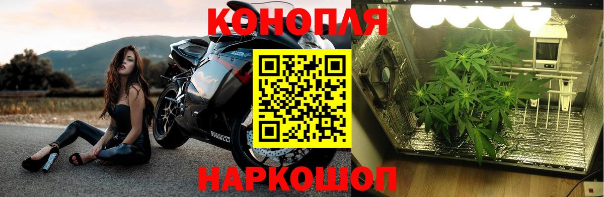 Марихуана конопля Дмитров