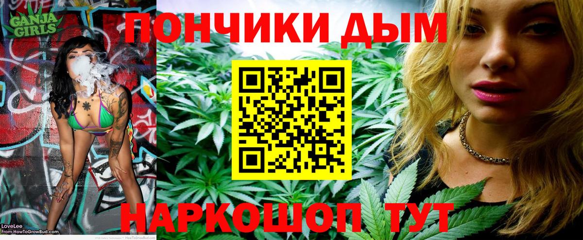 Бошки Шишки семена  Бошки Шишки MAZAR  Вход с VPN  Дмитров 